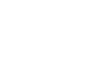 Wellbeing Audit logo